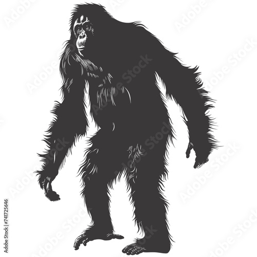 silhouette orang utan animal full body black color only