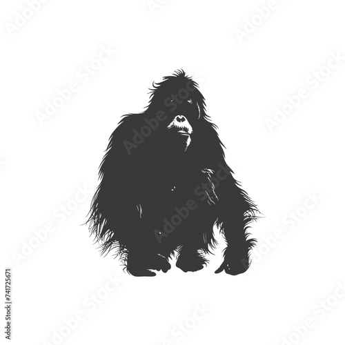 silhouette orang utan animal full body black color only