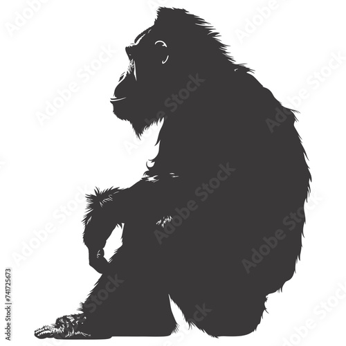 silhouette orang utan animal full body black color only