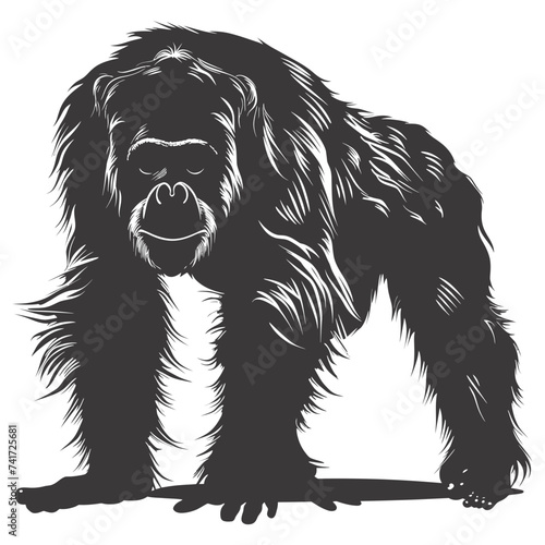 silhouette orang utan animal full body black color only