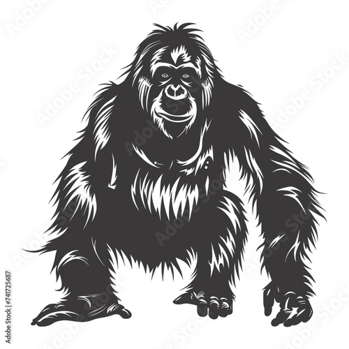 silhouette orang utan animal full body black color only
