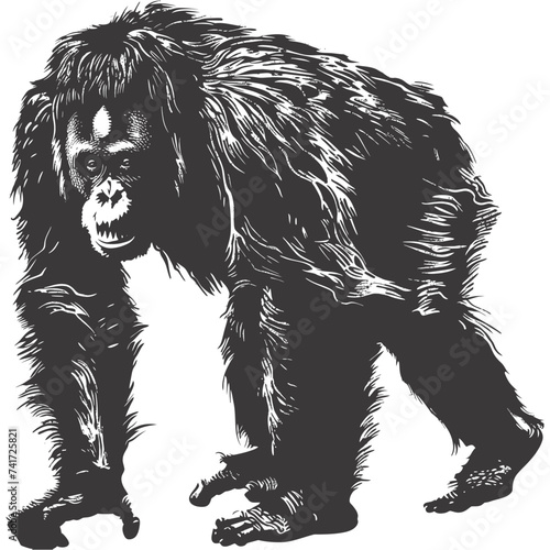 silhouette orang utan animal full body black color only