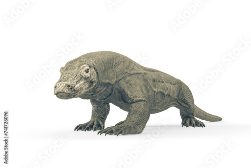 komodo dragon is looking for food in white background