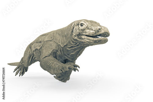 komodo dragon is running for food in white background