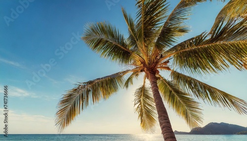  Blue sky and palm trees view from below, vintage style, tropical beach and summer background