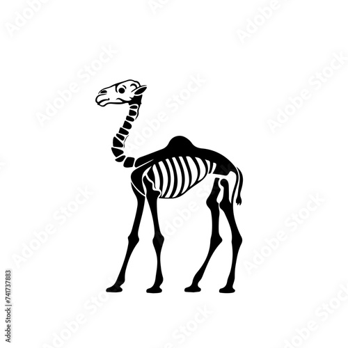 Camel Skeleton