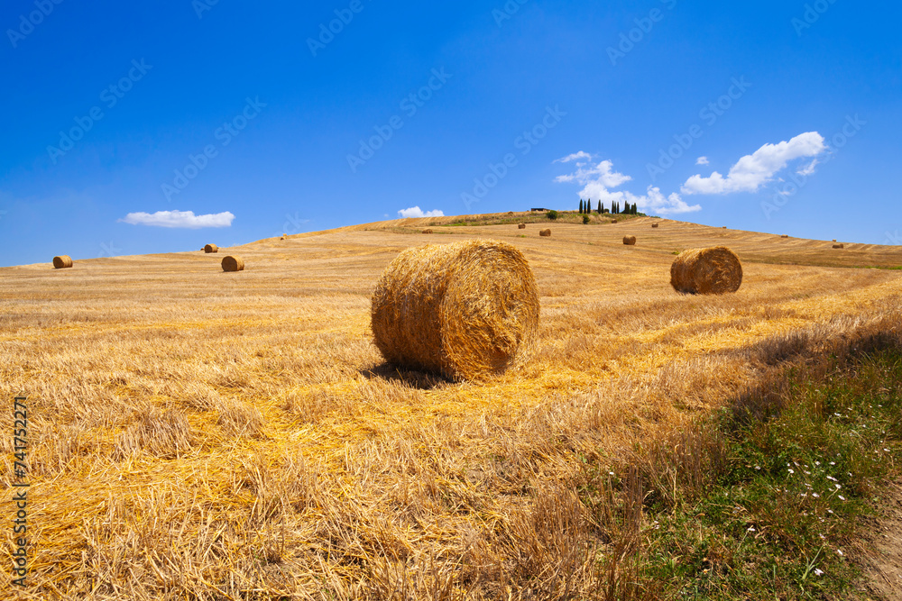 Sienese countryside: golden fields, picturesque farmhouse, and rural beauty