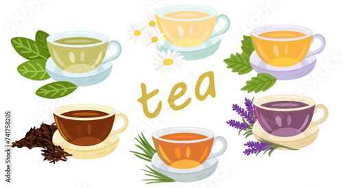 Vector set of various tea in cups isolated on white background