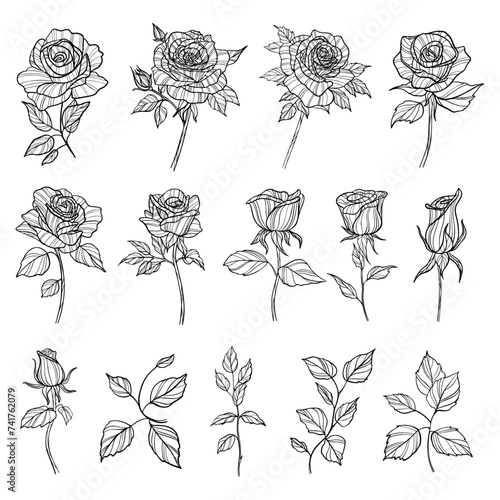 Rose Reverie: A Timeless Collection of Line Art Blooms
