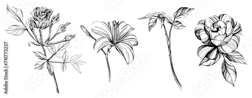 Set of hand drawn flowers. Black and white floral collection illustration. © ARTSTOK