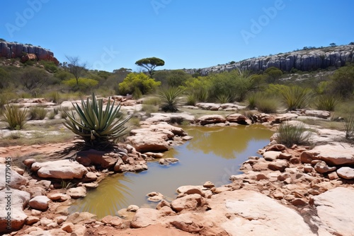 A tranquil desert oasis with cacti and sparse vegetation under a clear blue sky © spyrakot
