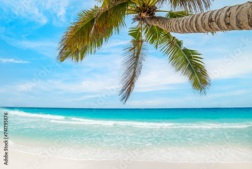 Fototapeta Naklejka Na Ścianę i Meble -  Turquoise water and palm tree in a tropical beach