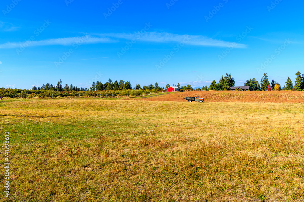 A vintage pickup truck on an agricultural field at a small farm at Autumn in the countryside of Green Bluff, near Spokane Washington USA.