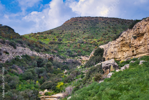 Landscape along the Vritzi (or Vrytzi) trail in Agios Theodoros, Larnaca area, Cyprus. Densely forested gorge, high, rocky hills and spring flowers photo