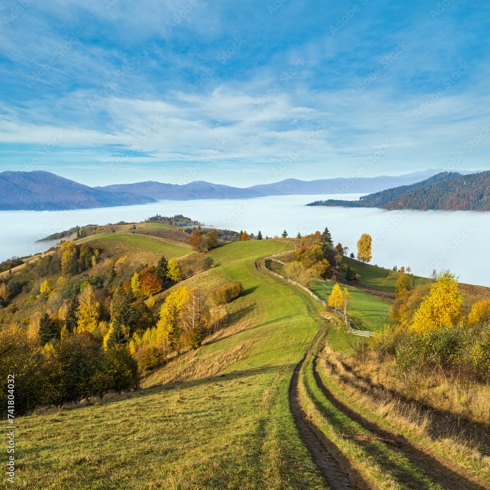Morning foggy clouds in autumn mountain countryside.  Ukraine, Carpathian Mountains, Transcarpathia. Peaceful picturesque traveling, seasonal, nature and countryside beauty concept scene. - obrazy, fototapety, plakaty 