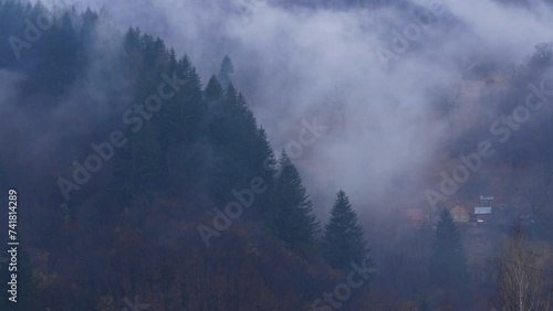Misty Carpathian Mountains fog clouds motion landscape. Foggy morning green fir trees Scenic forest rainy day. Calm tranquil Carpathians summit wood Ukraine Europe travel. Eco Local tourism Recreation