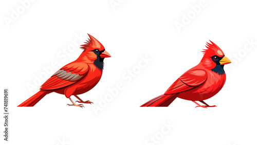 Cardinal Bird Set Isolated. 