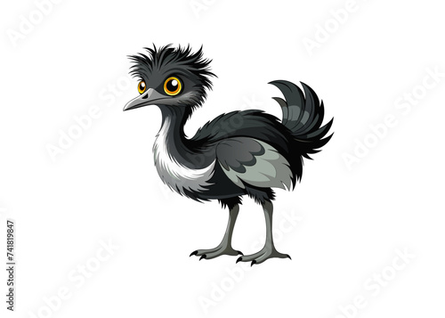 Emu Bird vector isolated