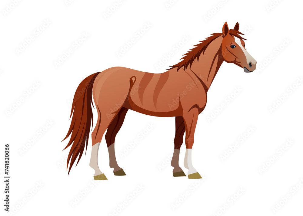 Horse Isolated. Horse Isolated.