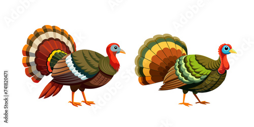 Turkey vector isolated