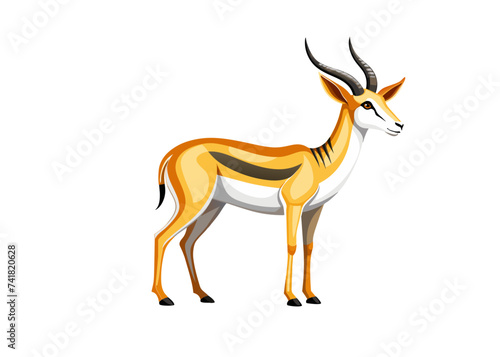 Springbok Deer isolated