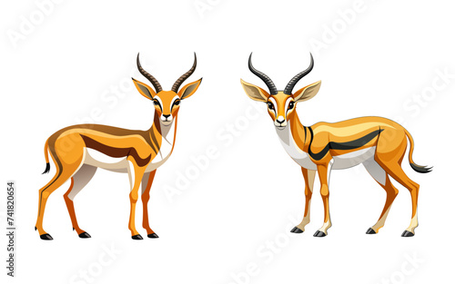 Springbok Deer isolated