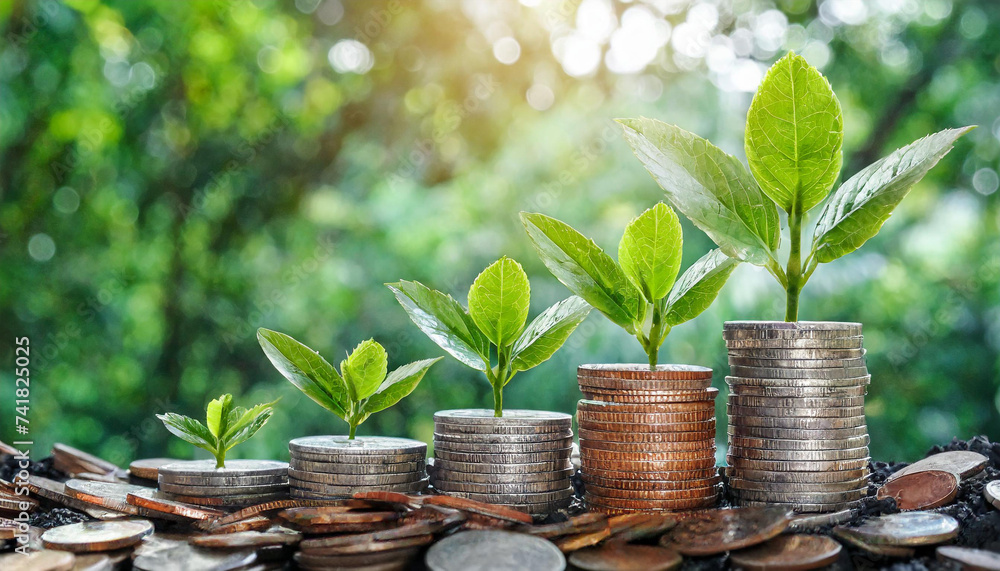 a row of stacks of coins with a plant growing out of them. Tree leaf on save money coins, Business finance saving banking investment concept. - obrazy, fototapety, plakaty 