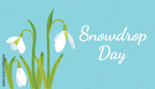 White spring flowers. Happy Snowdrop day. Flowers white snowdrops with leaves. Spring is coming. Snowdrop day. Vector illustration isolated on a blue background. Spring wildflower. Beautiful nature 