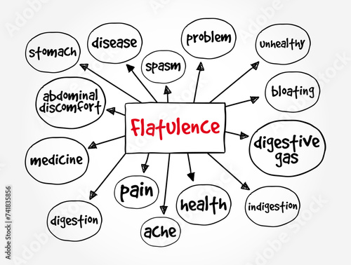 Flatulence is passing gas from the digestive system out of the back passage, mind map text concept background
