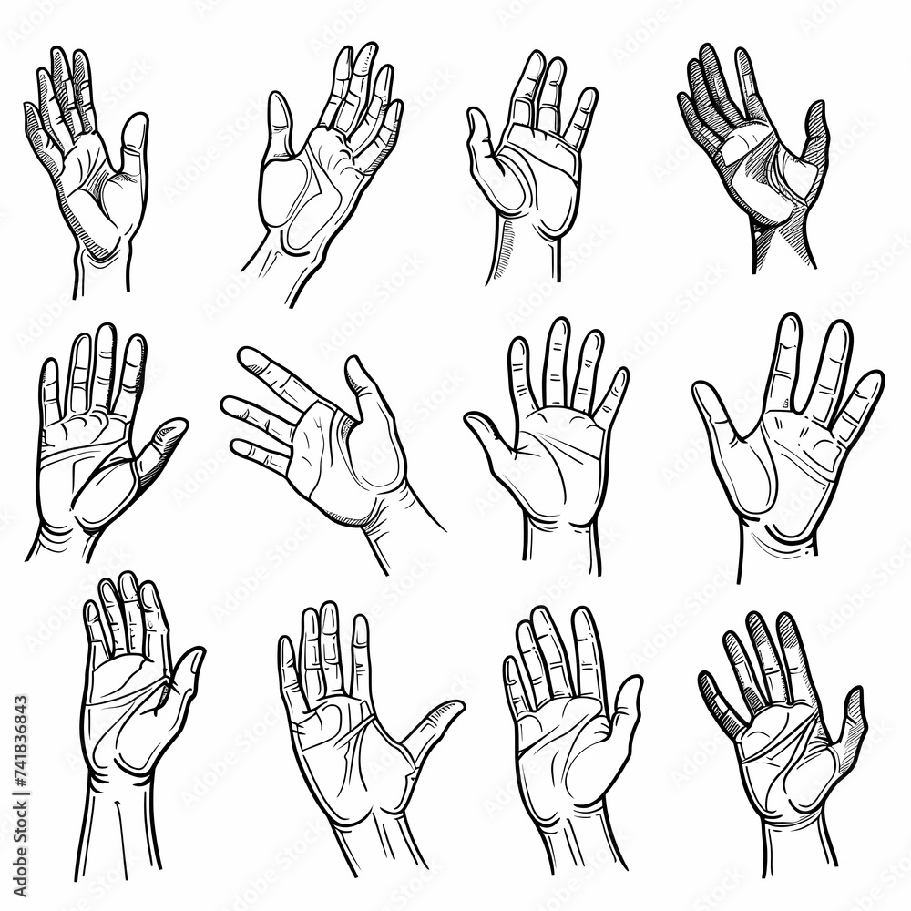 Fototapeta premium coloring page for kids