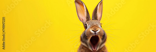 Joyful rabbit with long ears raised high and wide open mouth, appearing to cheer or laugh against a yellow background, expressing humor, delight, or excitement. Easter concept. Banner with copy space.