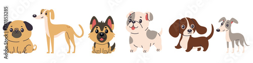 Set of flat vector illustrations of dogs of different breeds. Greyhound, chihuahua, French bulldog, pug, German shepherd, dachshund. Vector illustration