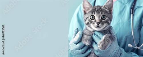 Veterinarian Holding a Cat Banner with Space for Text 