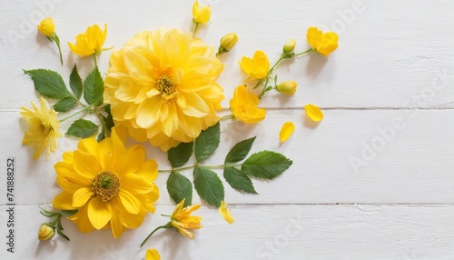 yellow flowers on white background © Richard