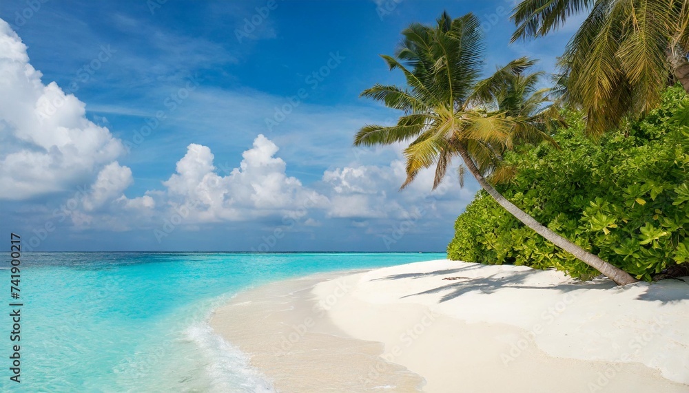 Fototapeta premium beautiful beaches in the maldives