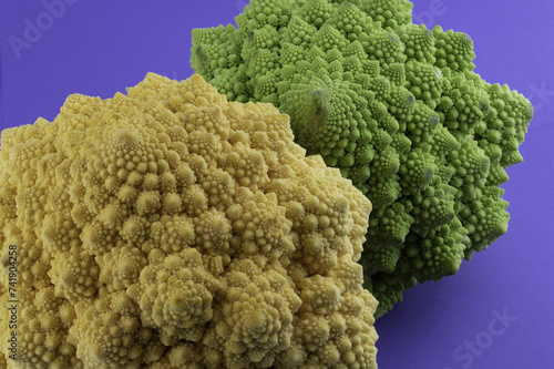La bellezza dei frattali nei broccoli romani photo