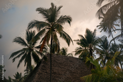 Tropical houses in tropical location surrounded by the palm trees.