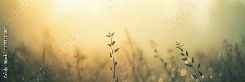 Soft dawn colors  abstract spring background with airy compositions, mist, and dew hints