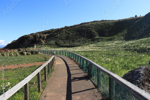 Wallpaper Mural 爪木崎 Torontodigital.ca