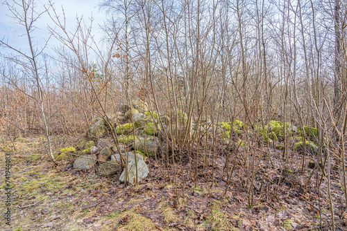 Fototapeta Naklejka Na Ścianę i Meble -  Polne kamienie