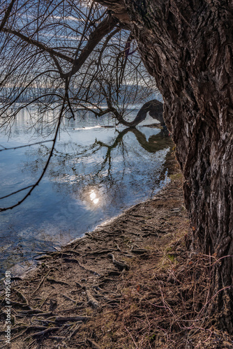 Nature conservation area on the Rhine near Constance