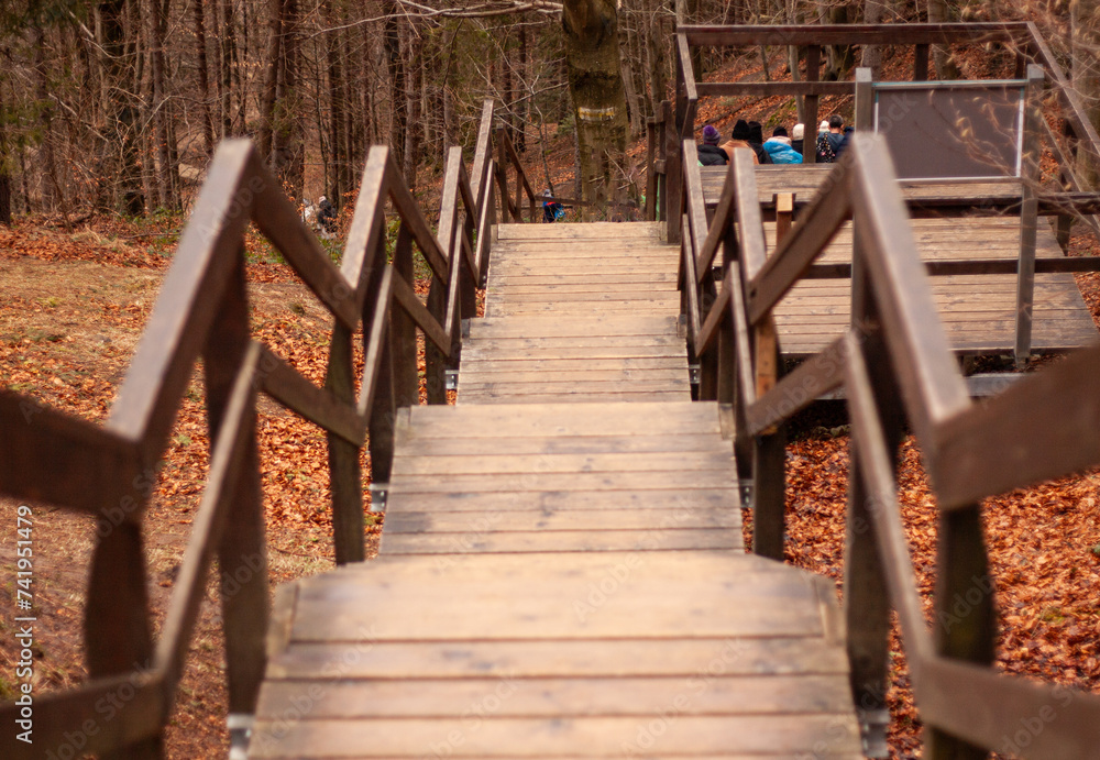 Obraz premium wooden stairs in the park, top down view, outdoor
