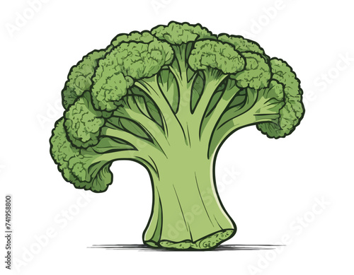 Fresh broccoli, vector illustration. hand drawing sketch