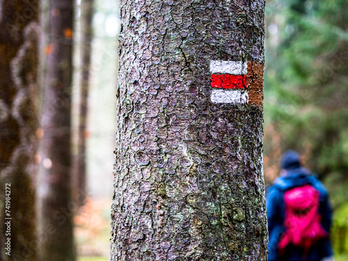 wandern in Nordböhmen photo