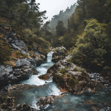 Serene River Flowing Through Misty Forested Mountains