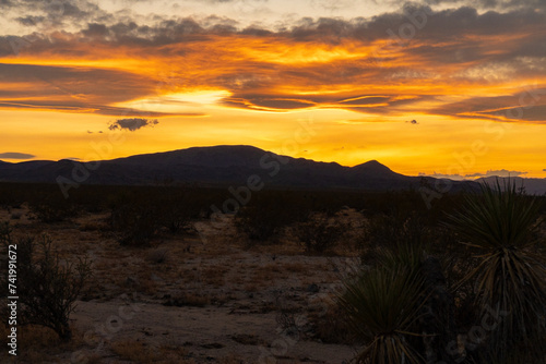 Dirt Road Sunset