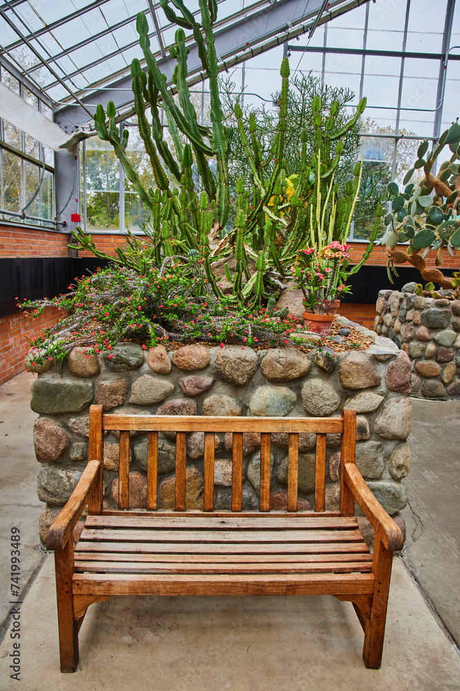 Rustic Bench in Cacti Greenhouse, Eye-Level View