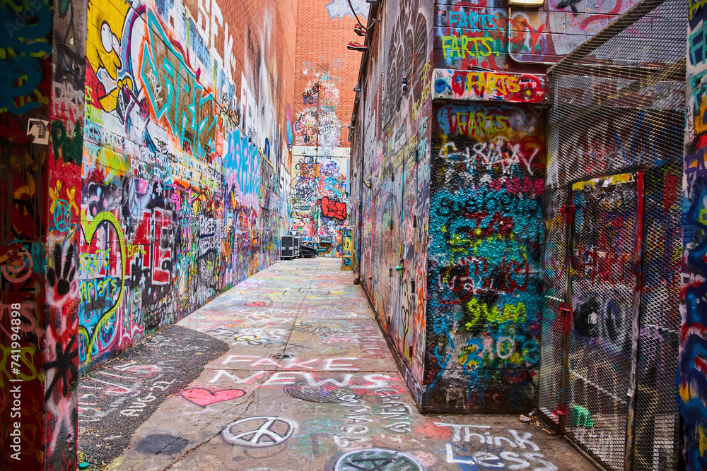 Fototapeta premium Vibrant Urban Graffiti Alleyway in Ann Arbor, Michigan