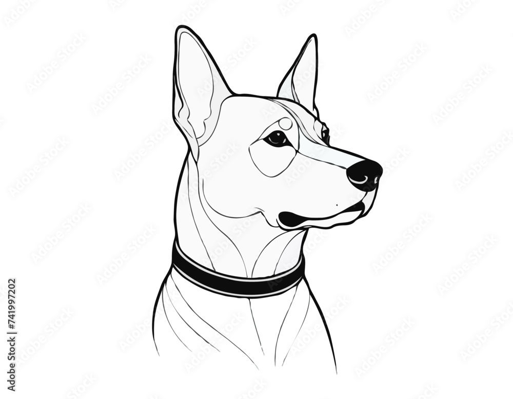 Collar dog
Collar dog