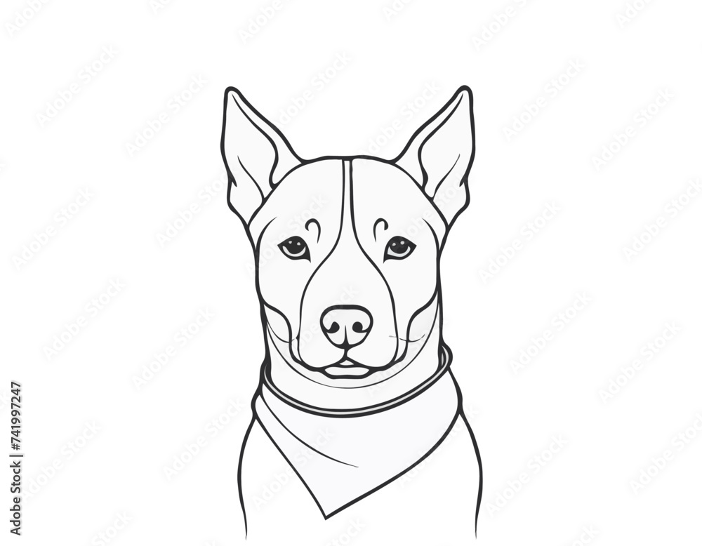 Collar dog
Collar dog